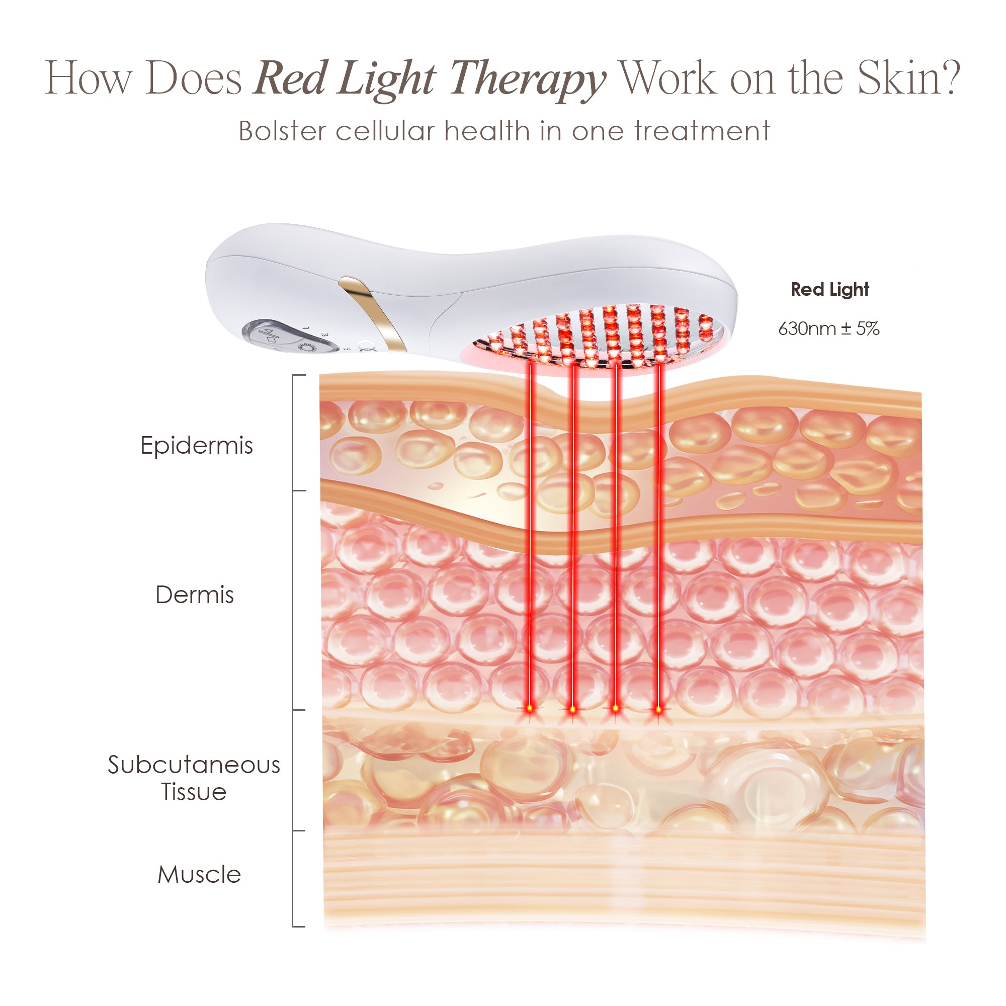 LumaGlow Red anti-aging wand showing skin infographic on red LED light work on the skin’s layers